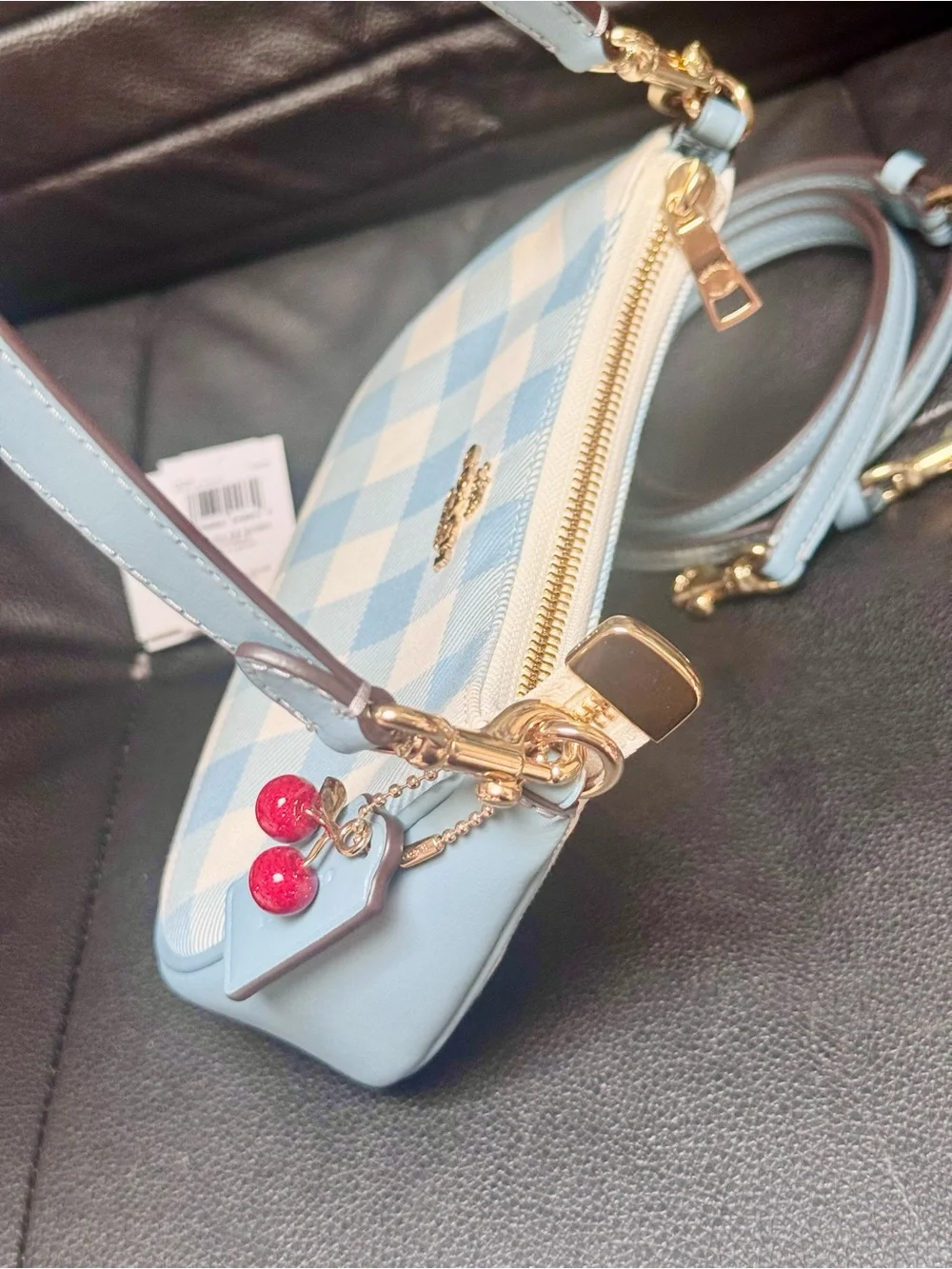 NWT Coach Teri Mini Crossbody Bag With Gingham Print And Charm CEN05 Blue Multi - Picture 7 of 15